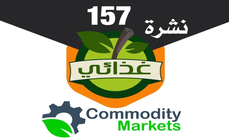 انطلاق أول حلقات برنامج «رواد التصدير» الخميس المقبل