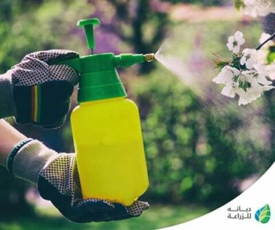 «الإيزوفيتاميد» ، متبقيات المبيدات 