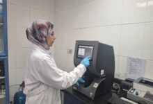 تقليل زمن الإفراج الجمركي بميناء بورسعيد لتعزيز التجارة وتسهيل حركة الواردات