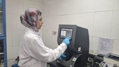 تقليل زمن الإفراج الجمركي بميناء بورسعيد لتعزيز التجارة وتسهيل حركة الواردات