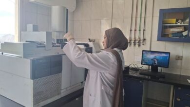 تقليل زمن الإفراج الجمركي بميناء بورسعيد لتعزيز التجارة وتسهيل حركة الواردات