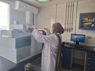 تقليل زمن الإفراج الجمركي بميناء بورسعيد لتعزيز التجارة وتسهيل حركة الواردات