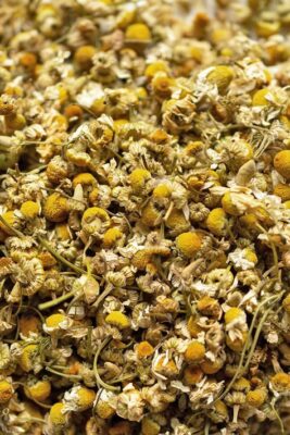 أسواق بريطانيا تطلب الكمون والبابونج المصري.. فرصة تصديرية واعدة للشركات المصرية 3 أسواق بريطانيا تطلب الكمون والبابونج المصري.. فرصة تصديرية واعدة للشركات المصرية