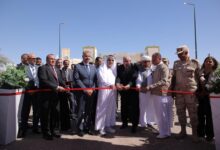 المهرجان التاسع للتمور المصرية
