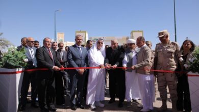 المهرجان التاسع للتمور المصرية