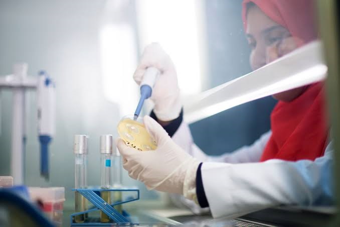 تحذيرات من تكرار رفض الشحنات الغذائية المصرية بأسواق أوروبا بسبب متبقيات المبيدات